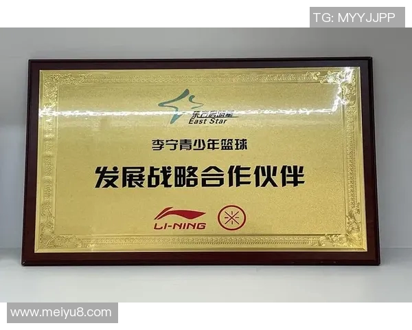 启明星篮球销售的市场表现与消费者反馈分析